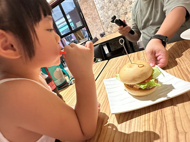 試用